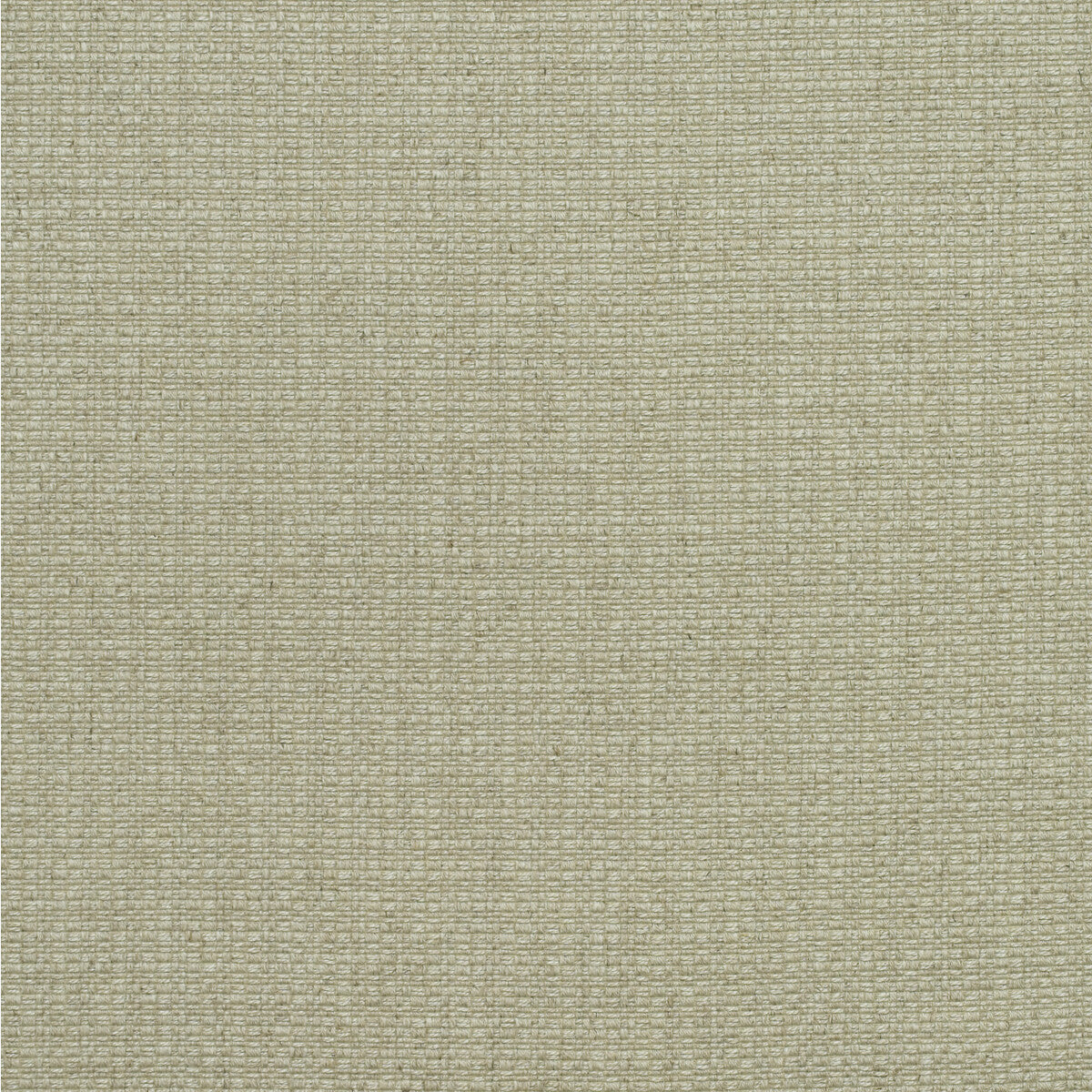 am1003901060-birch-stone-kravet-couture