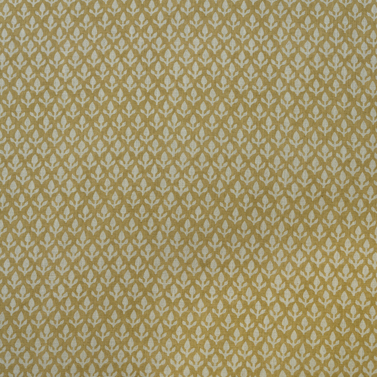 am1003794160-bud-honey-kravet-couture