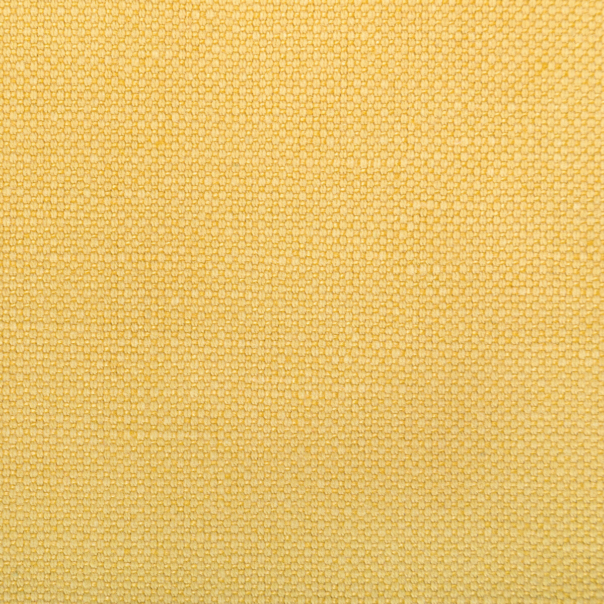 362824040-carson-sunshine-kravet-basics