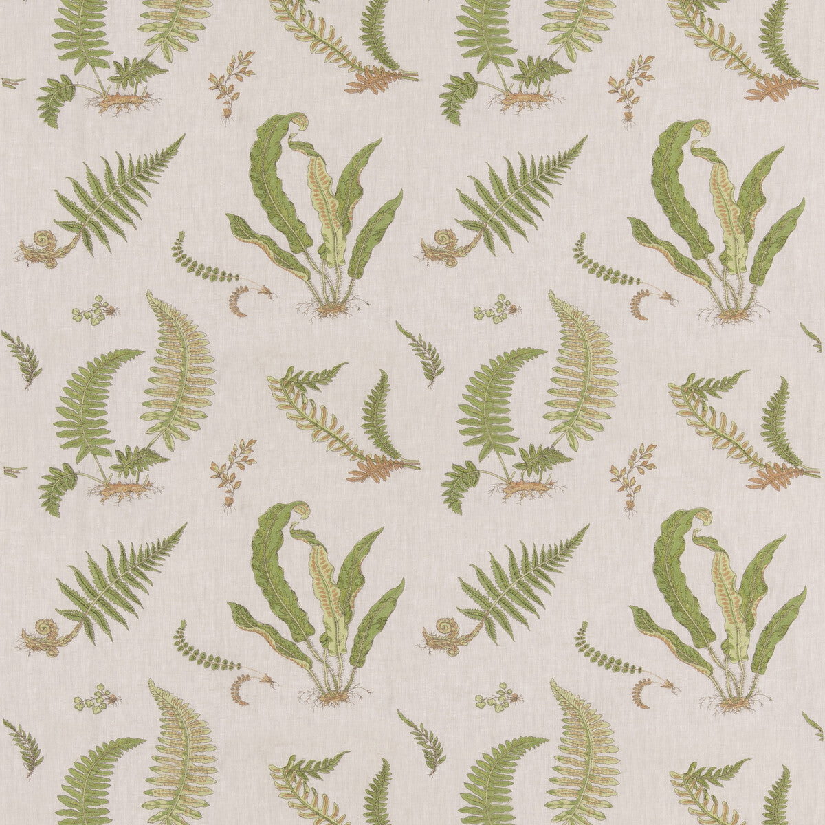 bf1099130-ferns-embroidery-greennatural-g-p-j-baker