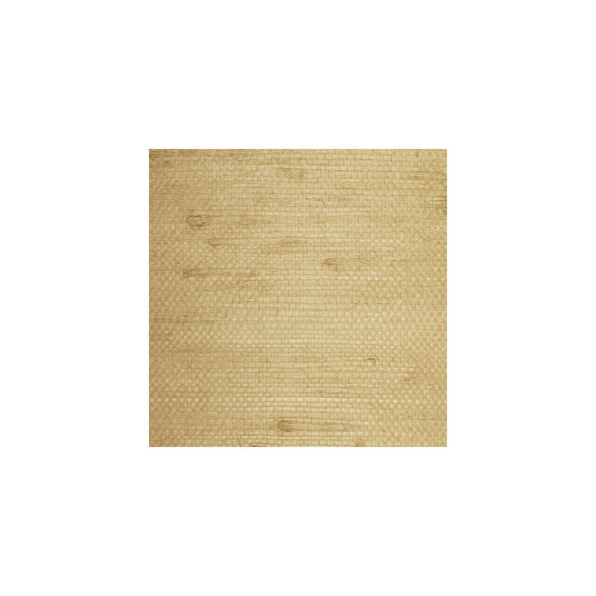 wse1266wt0-winfield-thybony-wse1266-wt-winfield-thybony