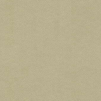 litestar1160-litestar-sand-kravet-design