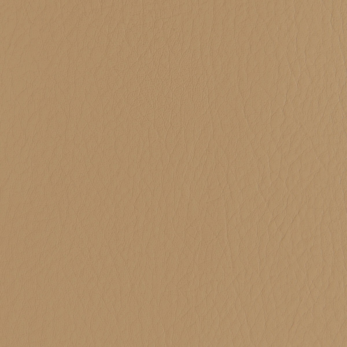 forza61160-forza-caramel-kravet-contract