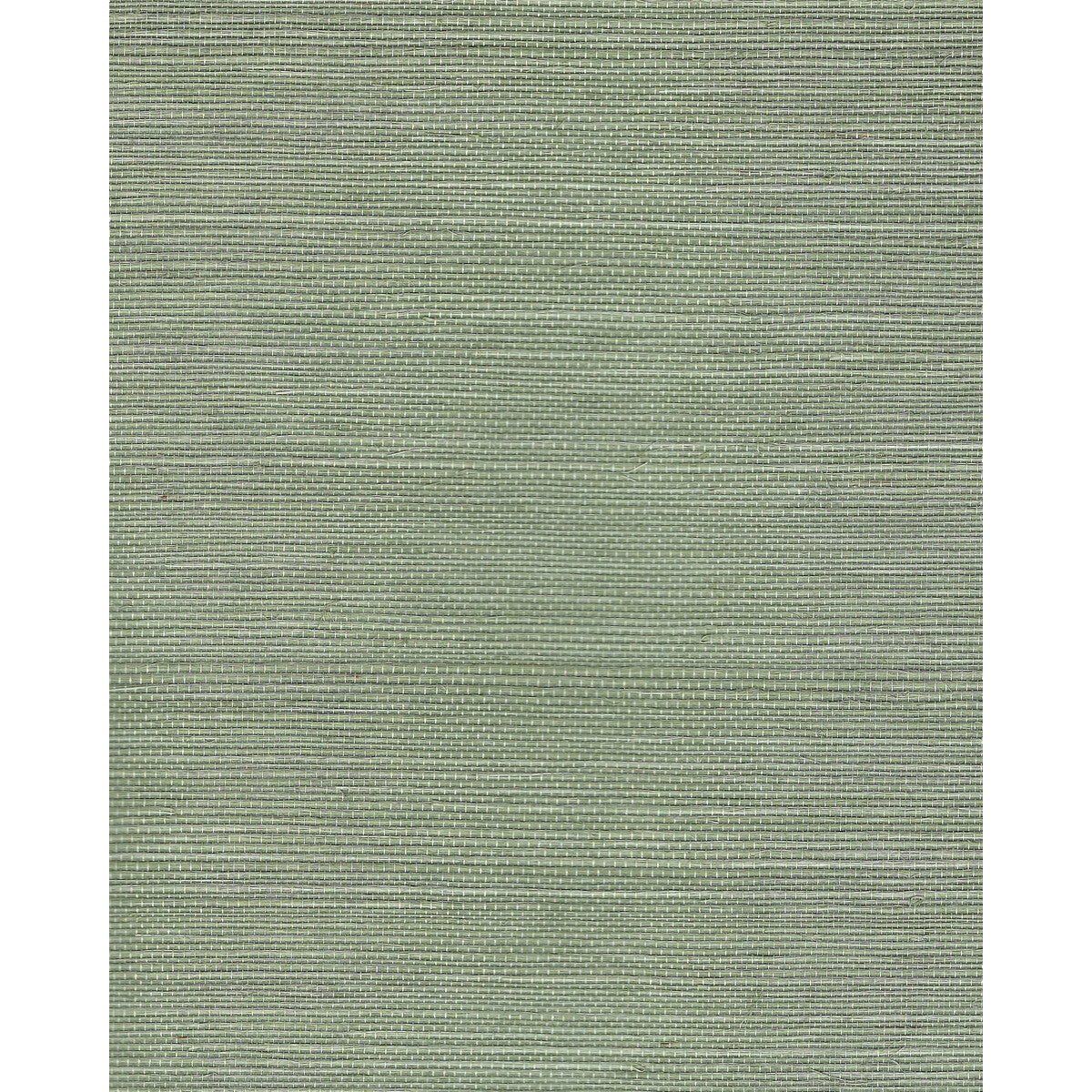 wnr2107wt0-chiyo-sisal-sprig-winfield-thybony