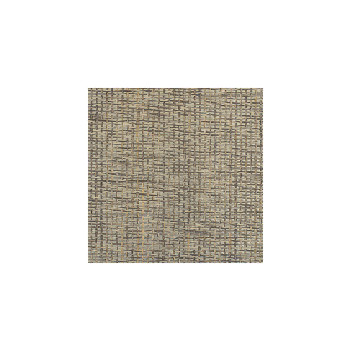 wiw2557wt0-playa-griege-winfield-thybony
