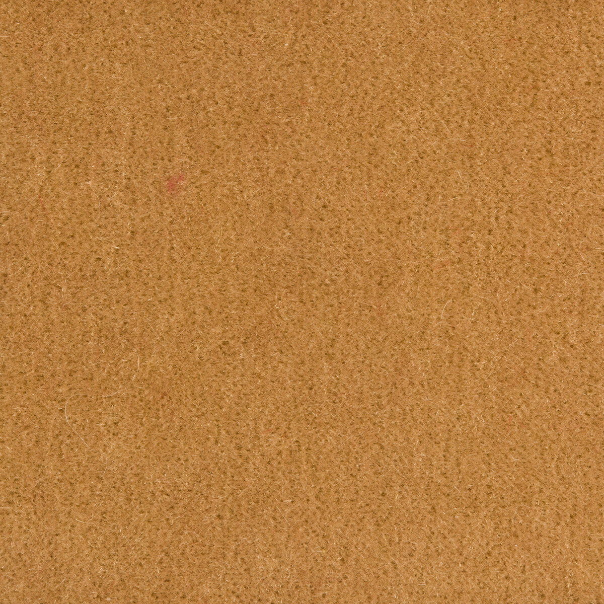 8014101160-bachelor-mohair-wheat-brunschwig-fils