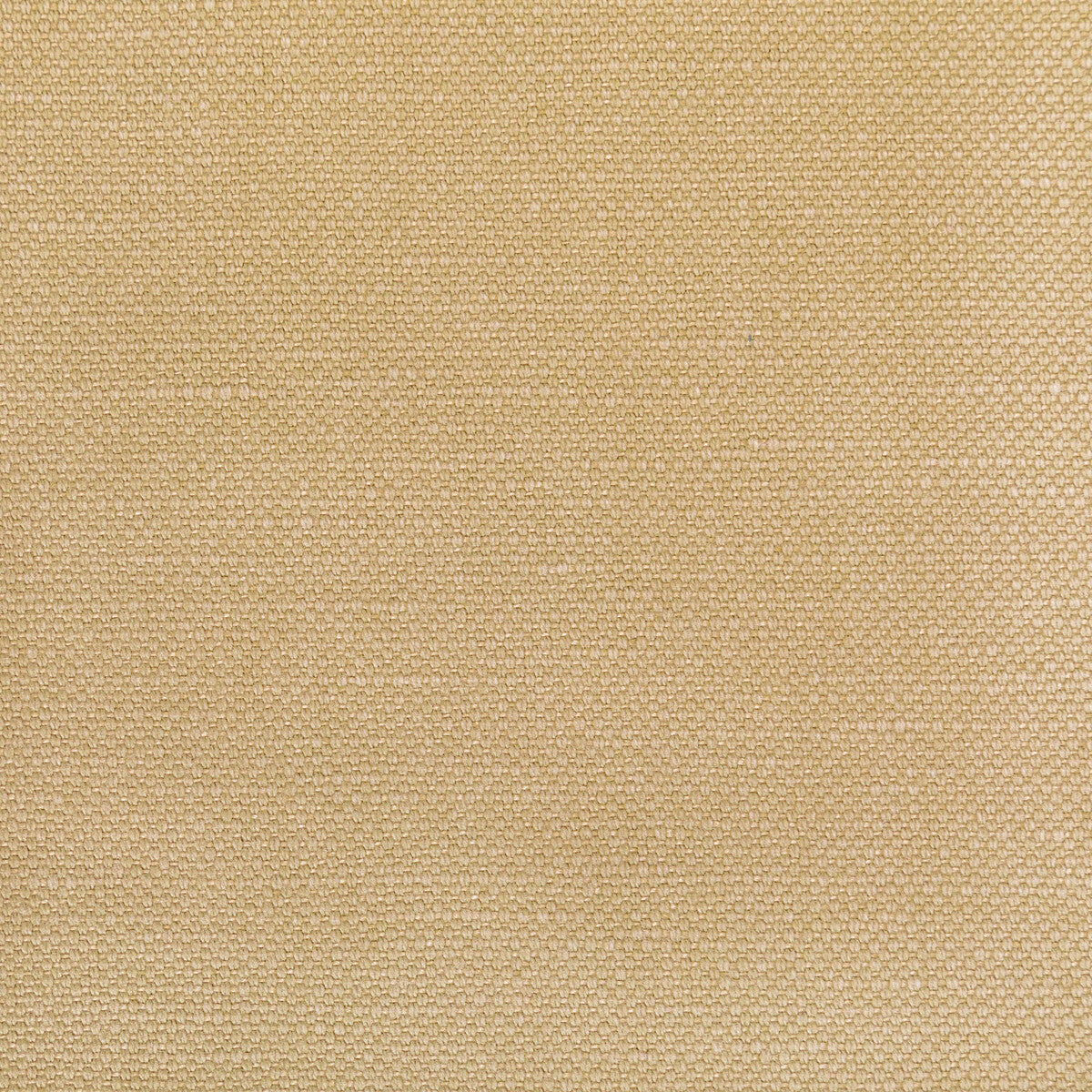 3628216140-carson-tussah-kravet-basics