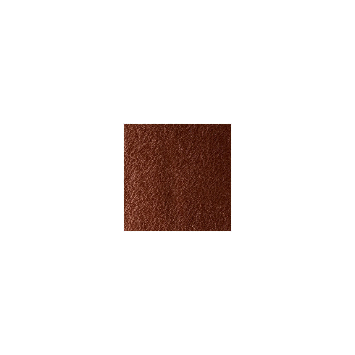 kerinci240-kerinci-cinnamon-kravet-design