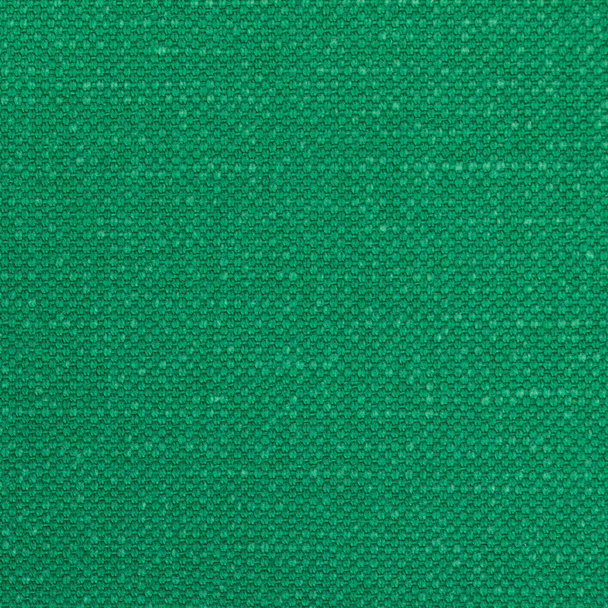 3628230-carson-shamrock-kravet-basics