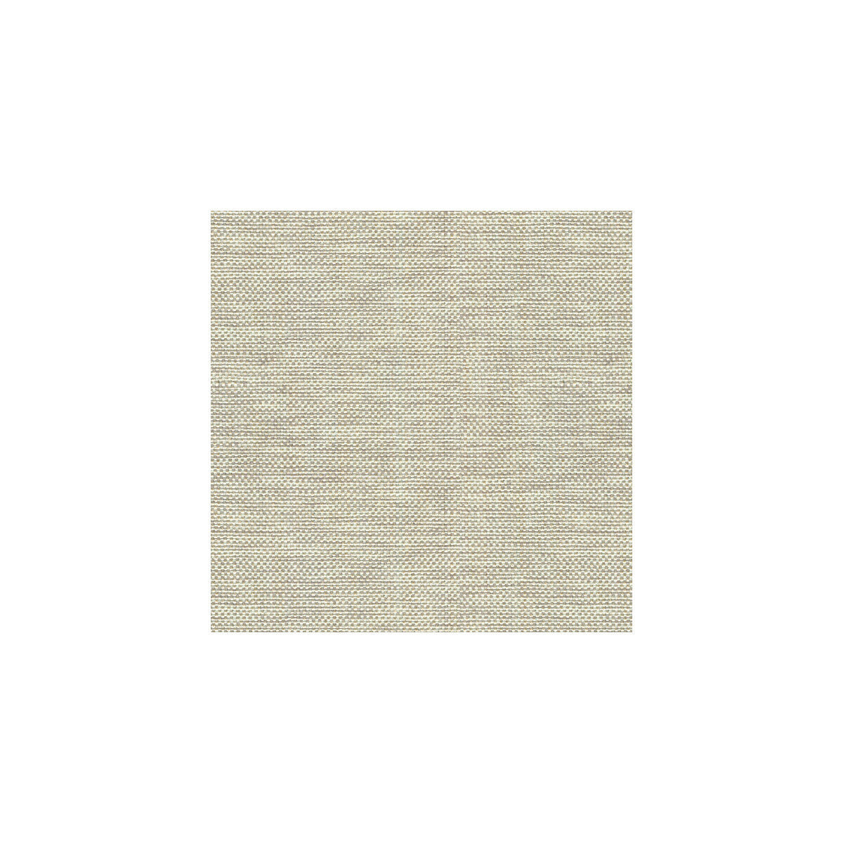 302991060-kravet-basics-30299-106