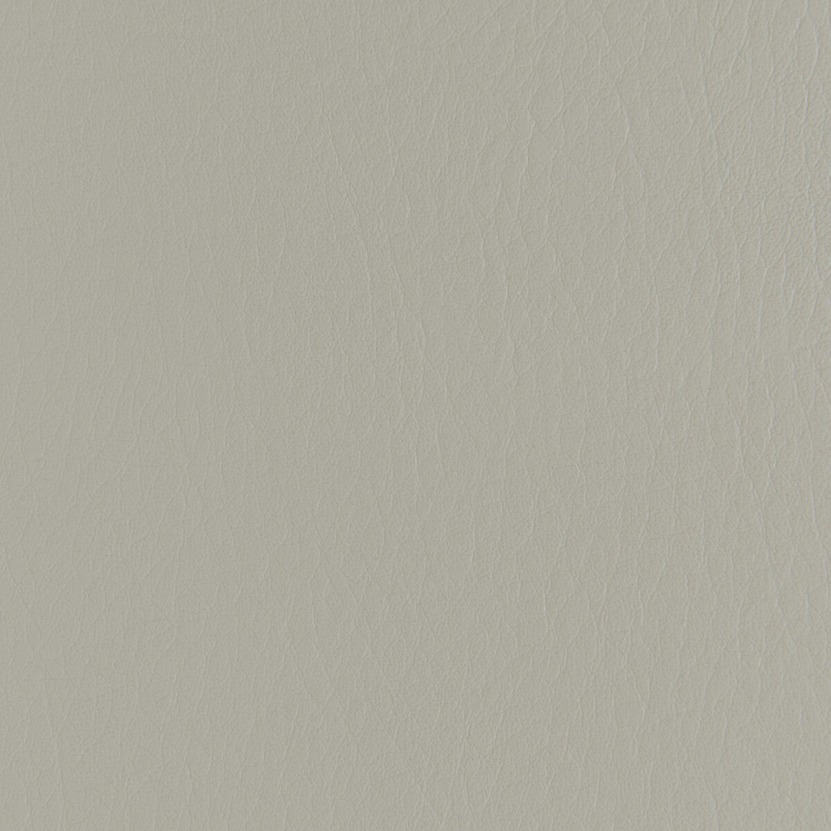 forza21110-forza-tundra-kravet-contract