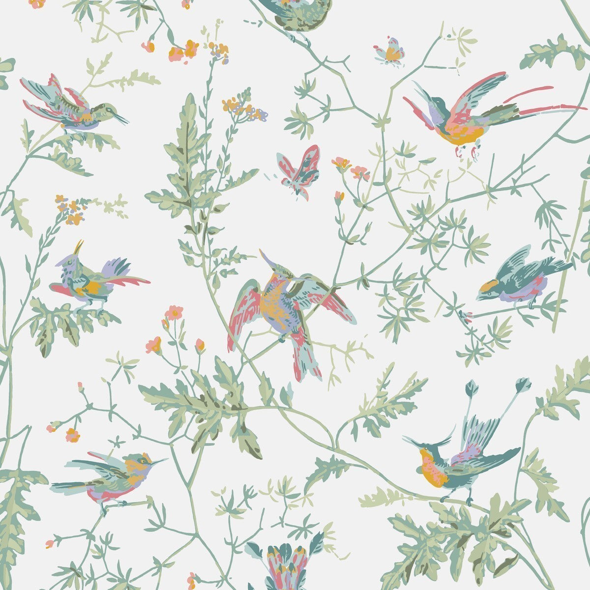 1124016cs0-hummingbirds-pastel-cole-son