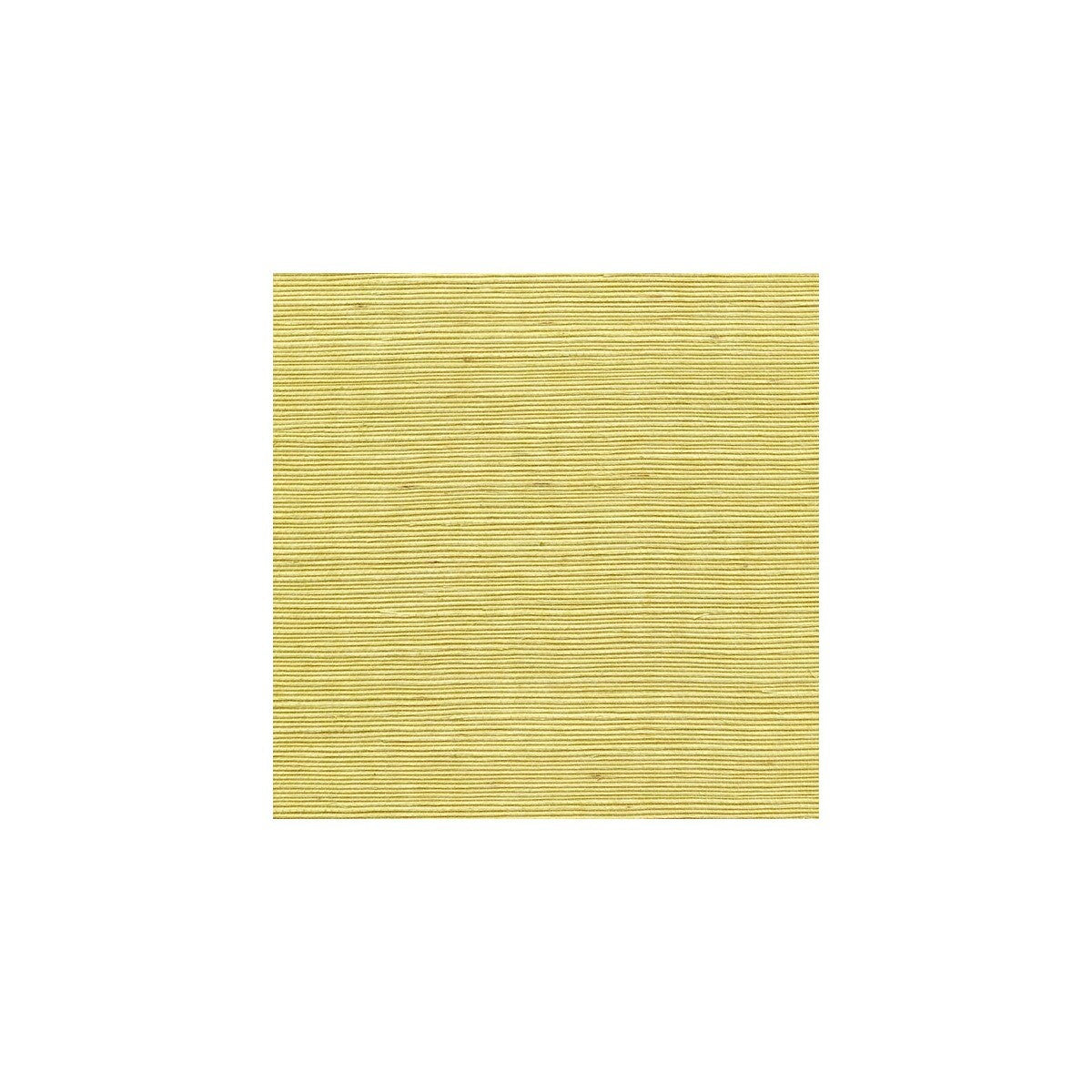 wss4526wt0-sisal-lemon-zest-winfield-thybony