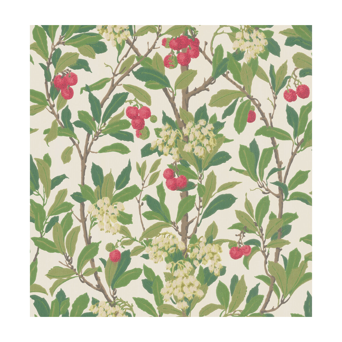 10010049cs0-strawberry-tree-scarlet-ivory-cole-son