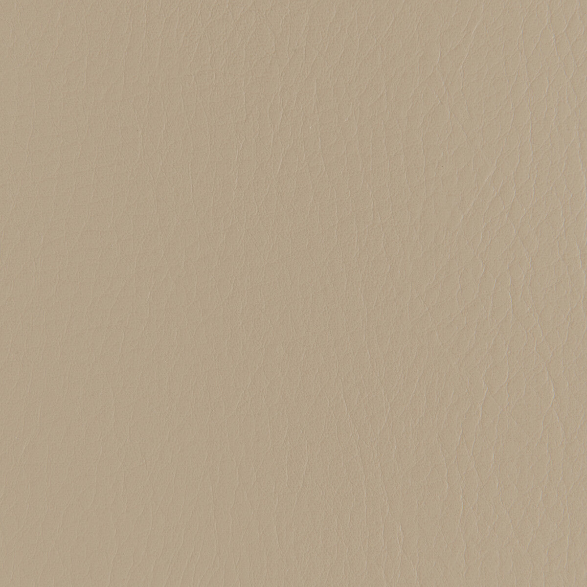 forza6110-forza-fieldstone-kravet-contract
