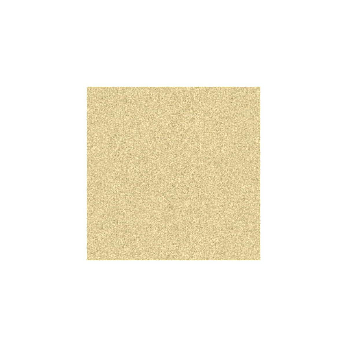 ultrasuede1611bb0-ultrasuede-1611bb-kravet-design