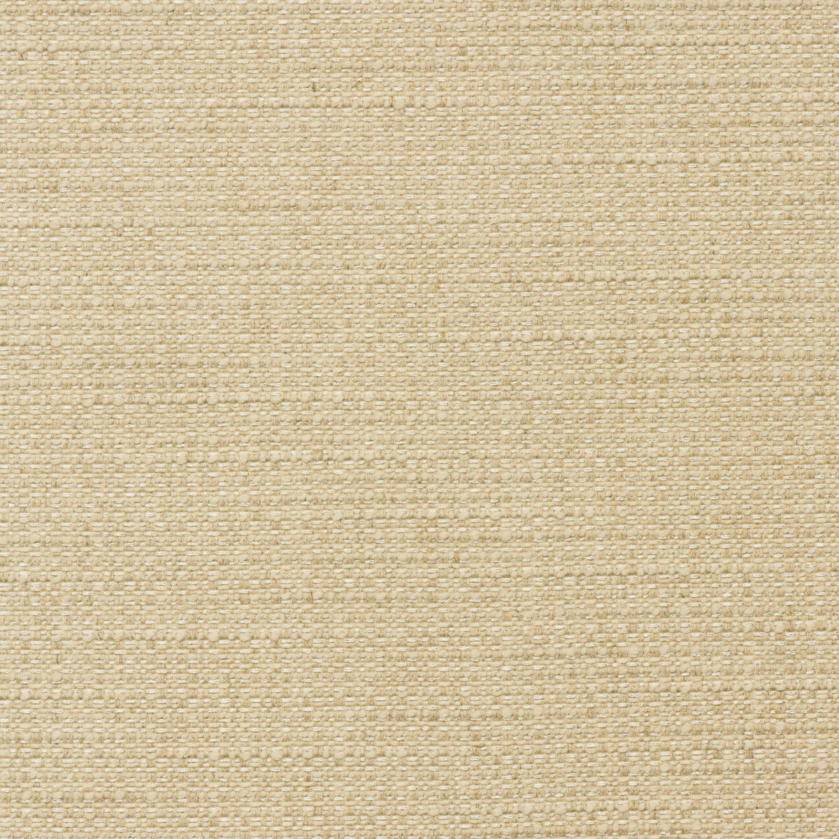 am100436160-tender-rope-kravet-couture