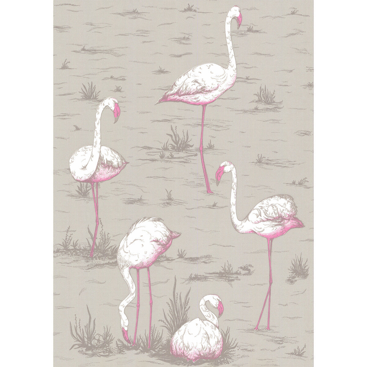 666042cs0-flamingos-grey-cole-son