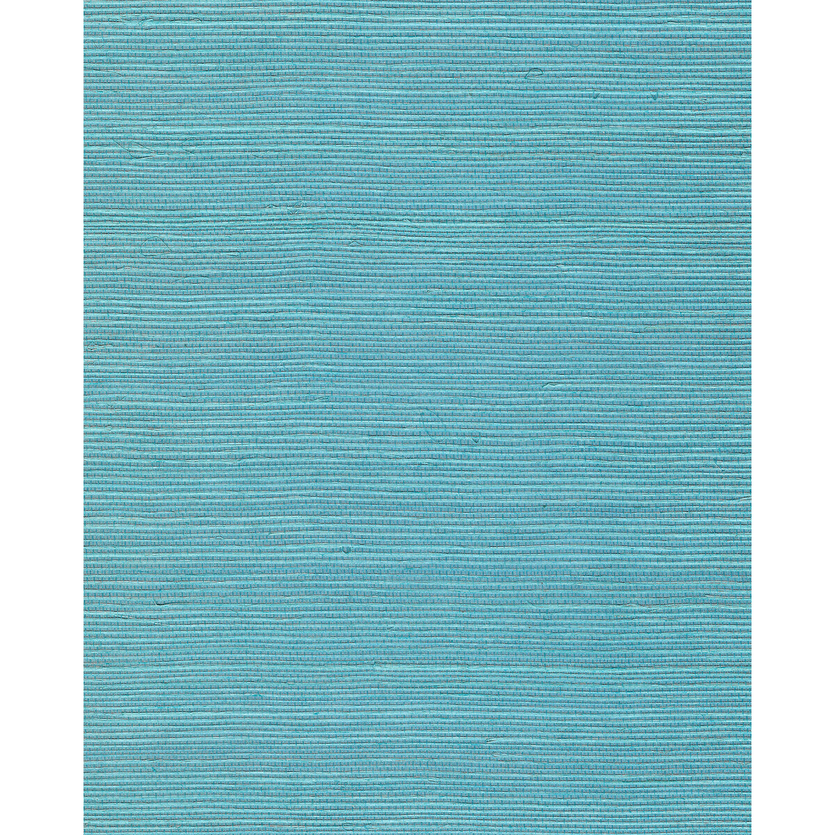 wnr2114wt0-chiyo-sisal-turquoise-winfield-thybony