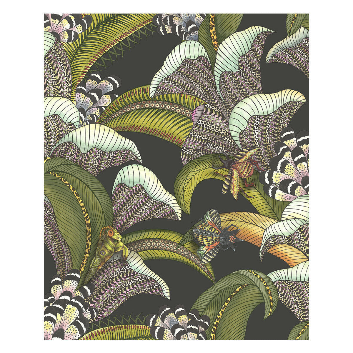 1191002cs0-hoopoe-leaves-olive-black-cole-son