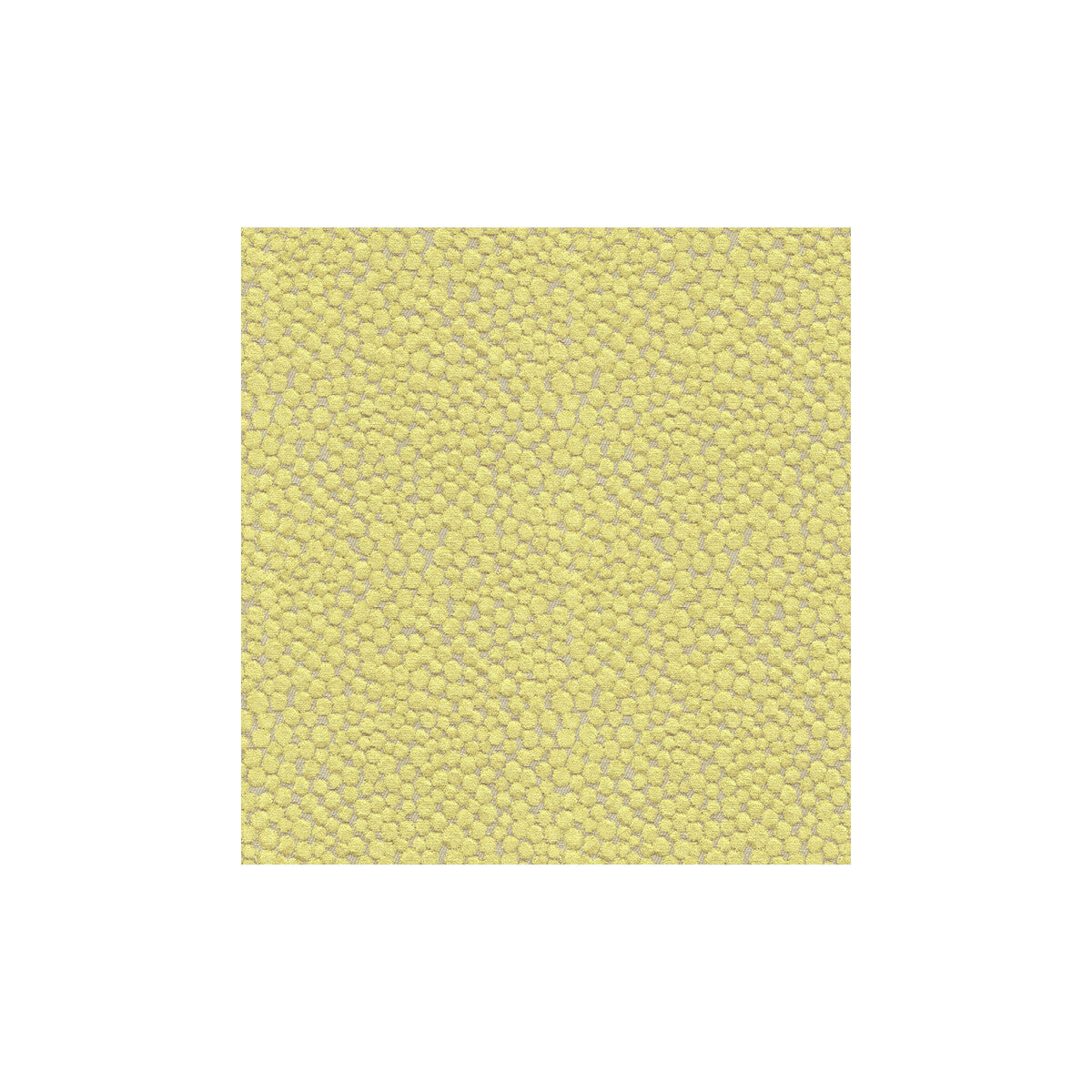 329723230-polka-dot-plush-wasabi-kravet-couture