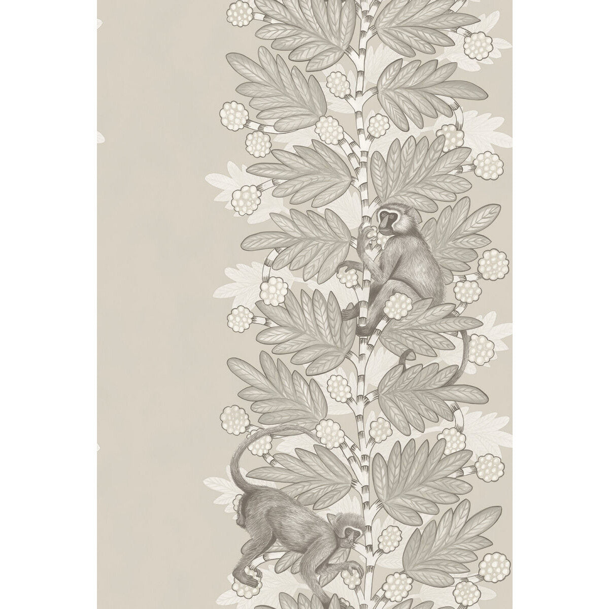 10911054cs0-acacia-stone-white-berries-cole-son