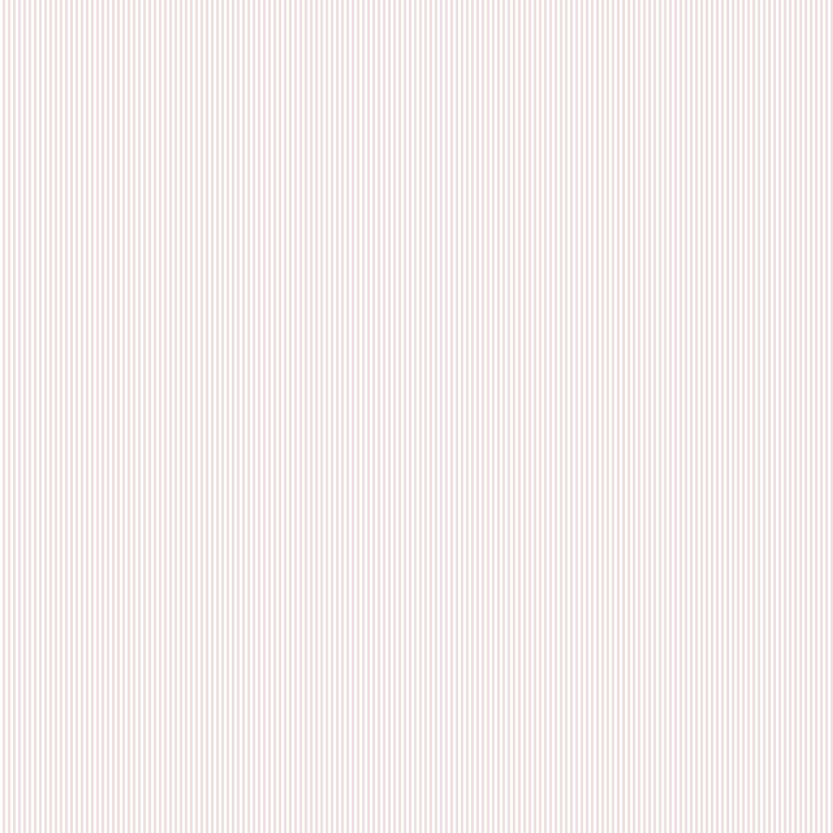wdr2061wt0-petite-stripe-pink-winfield-thybony