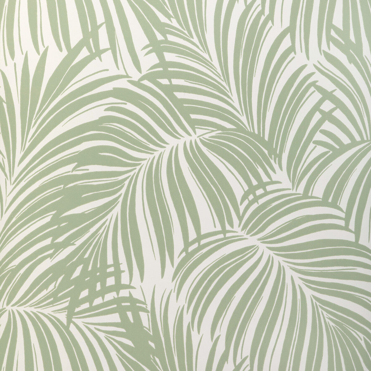 w4149300-palm-leaf-wp-light-green-kravet-couture