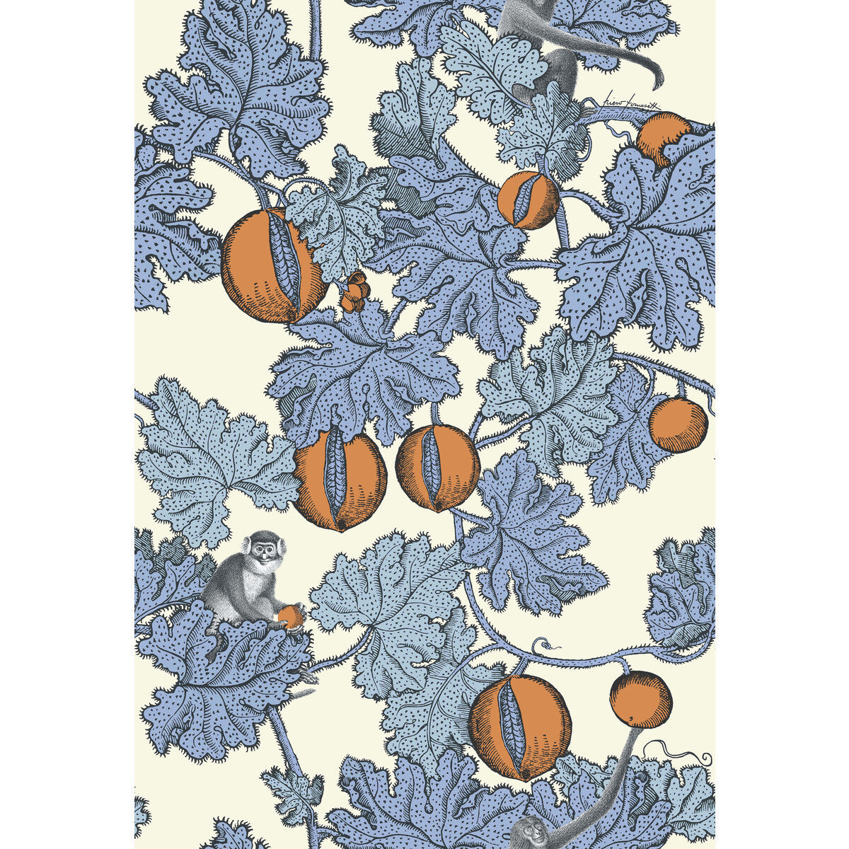 1141003cs0-frutto-proibito-hyacinth-orange-cole-son