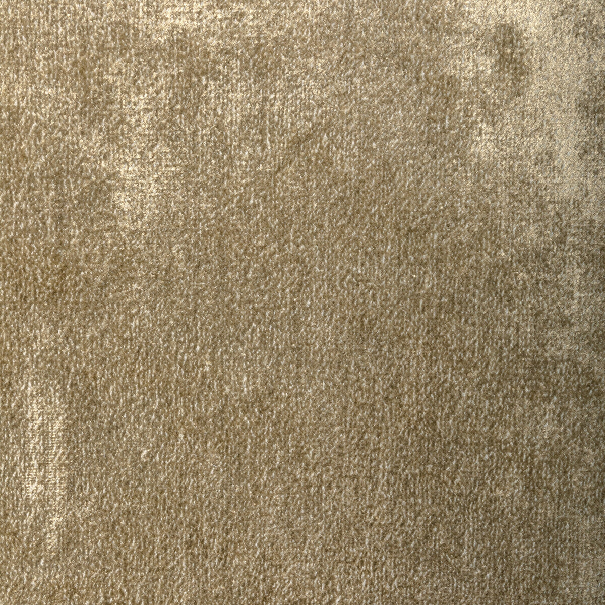 36351160-plush-nova-gold-kravet-couture