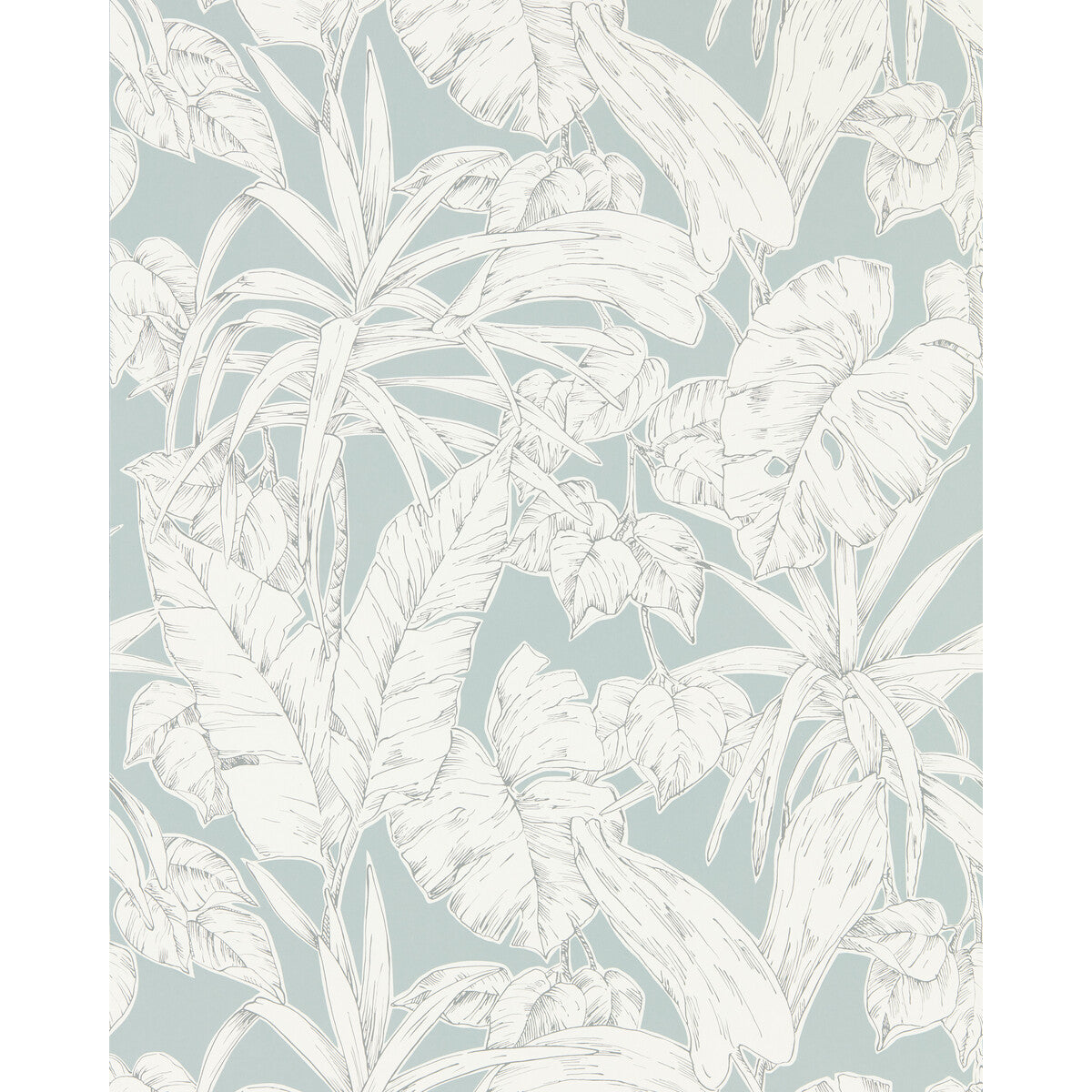 nzaw112025scn0-parlour-palm-scion