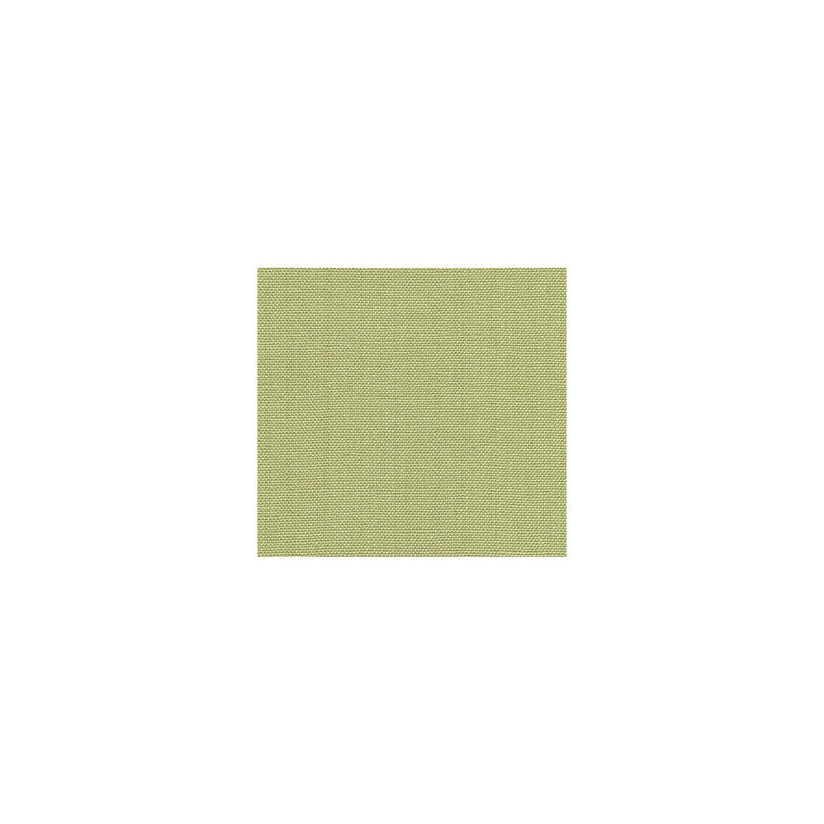 30421230-watermill-lichen-kravet-basics