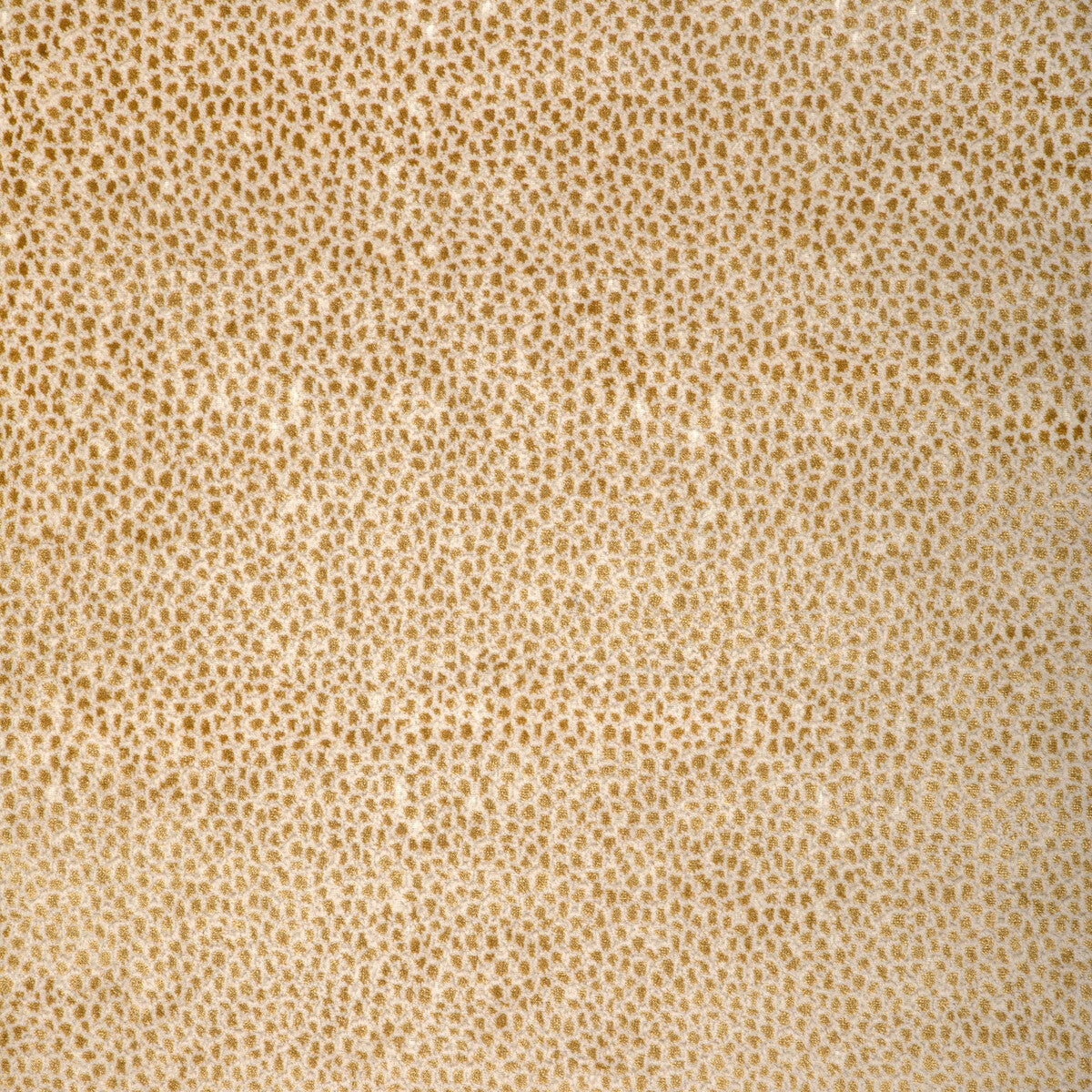 3748040-kravet-design-37480-4-kravet-design