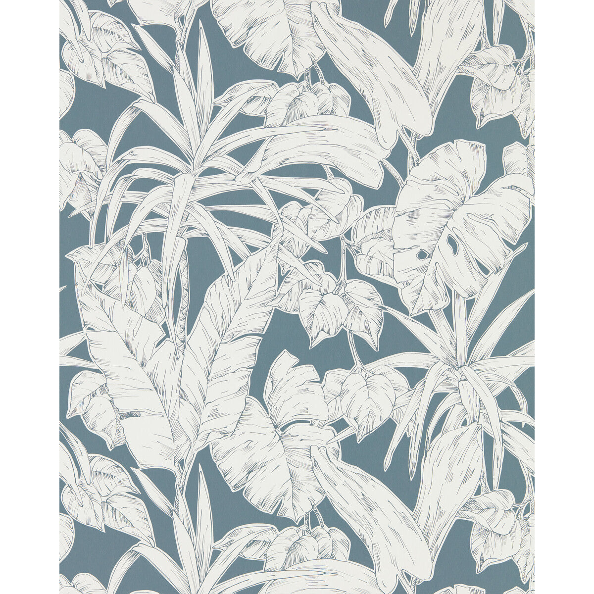 nzaw112023scn0-parlour-palm-scion