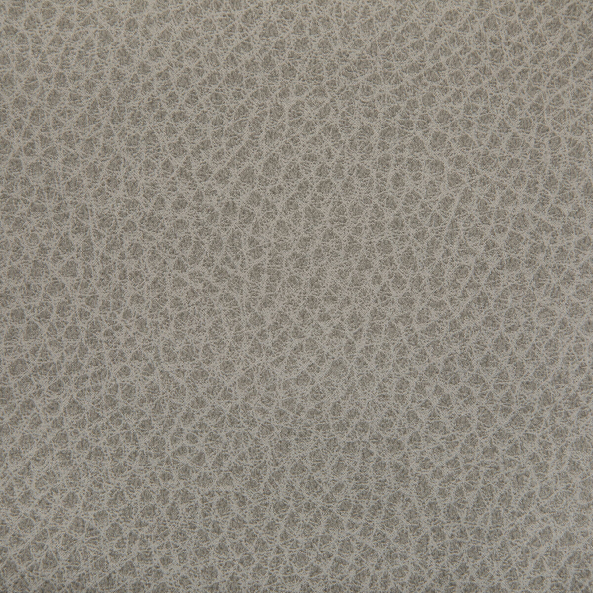 woolf110-woolf-porcini-kravet-contract