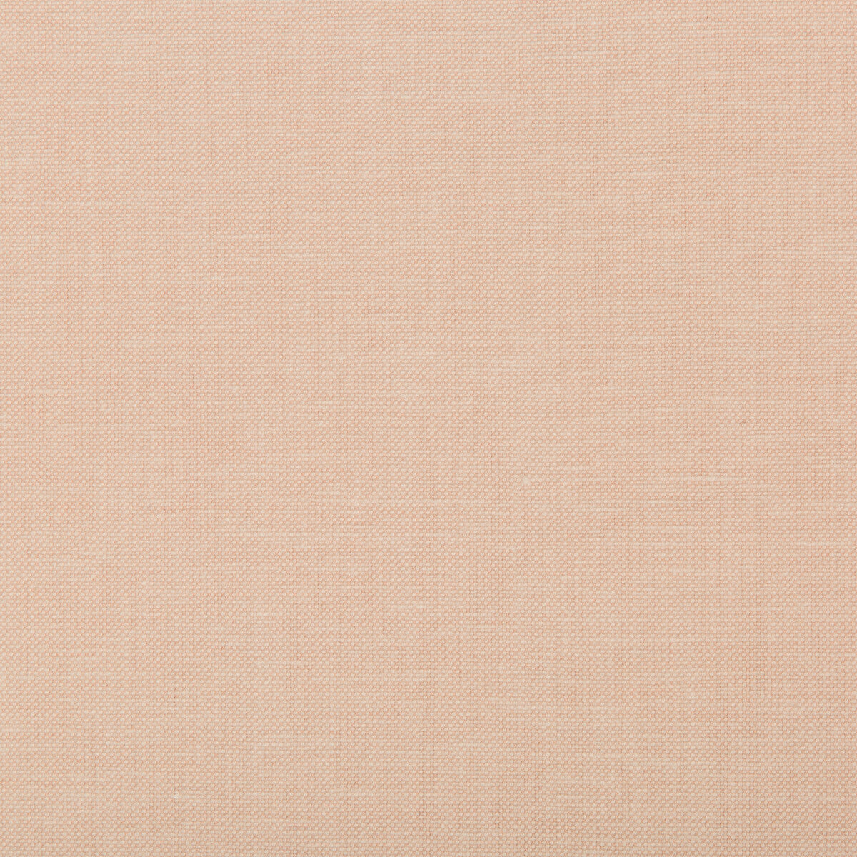 35543170-oxfordian-blush-kravet-basics