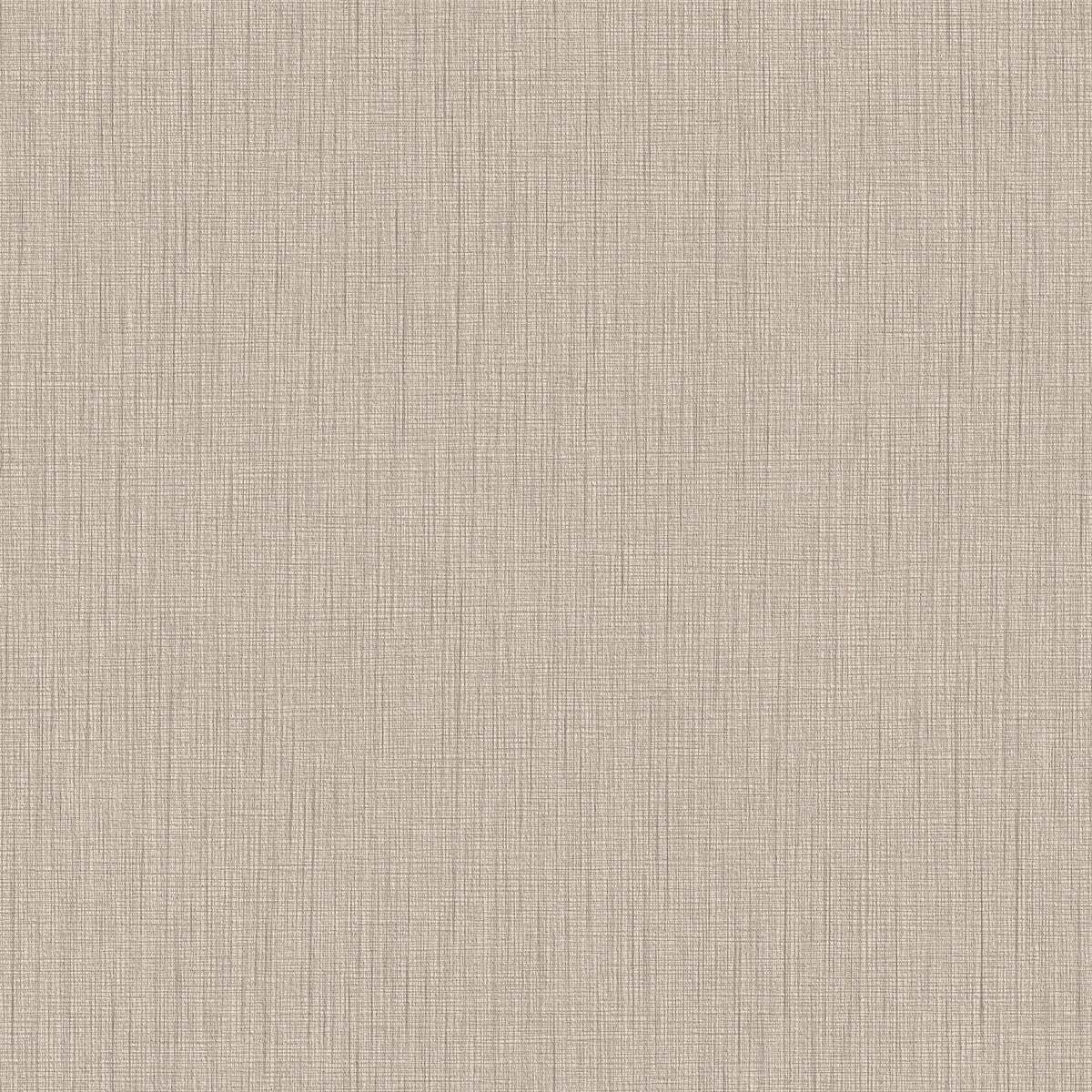 whf3779wt0-merino-sugarcane-winfield-thybony