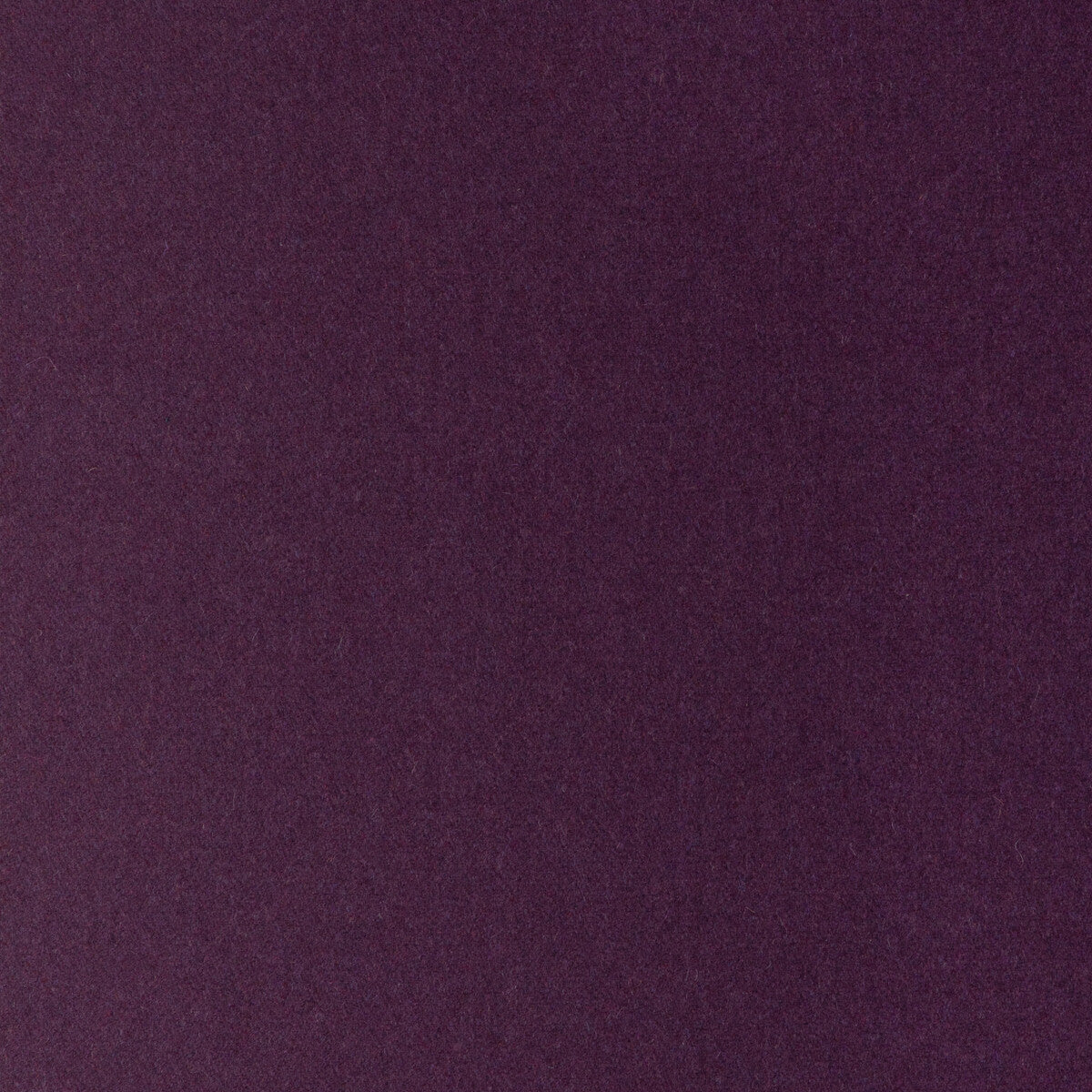 34397100-jefferson-wool-blackberry-kravet-contract