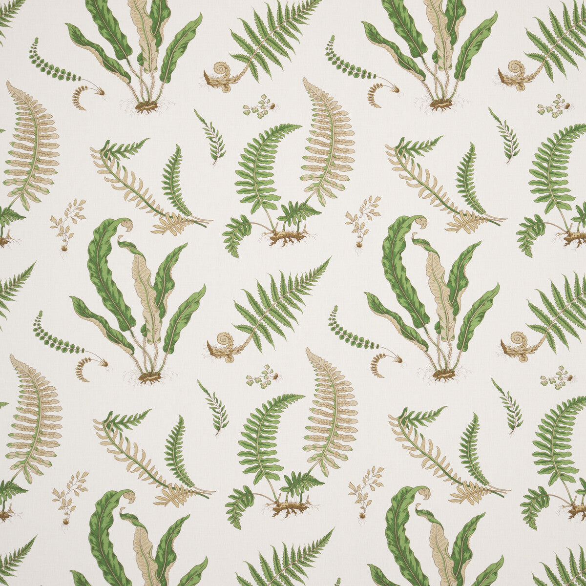 r1324010-ferns-linen-stonegreen-g-p-j-baker