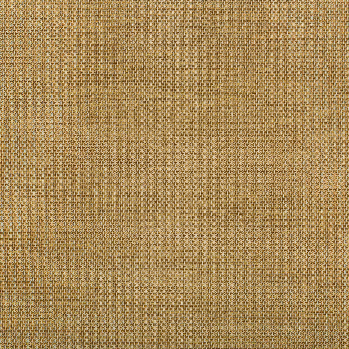 46454160-kravet-contract-4645-416-kravet-contract