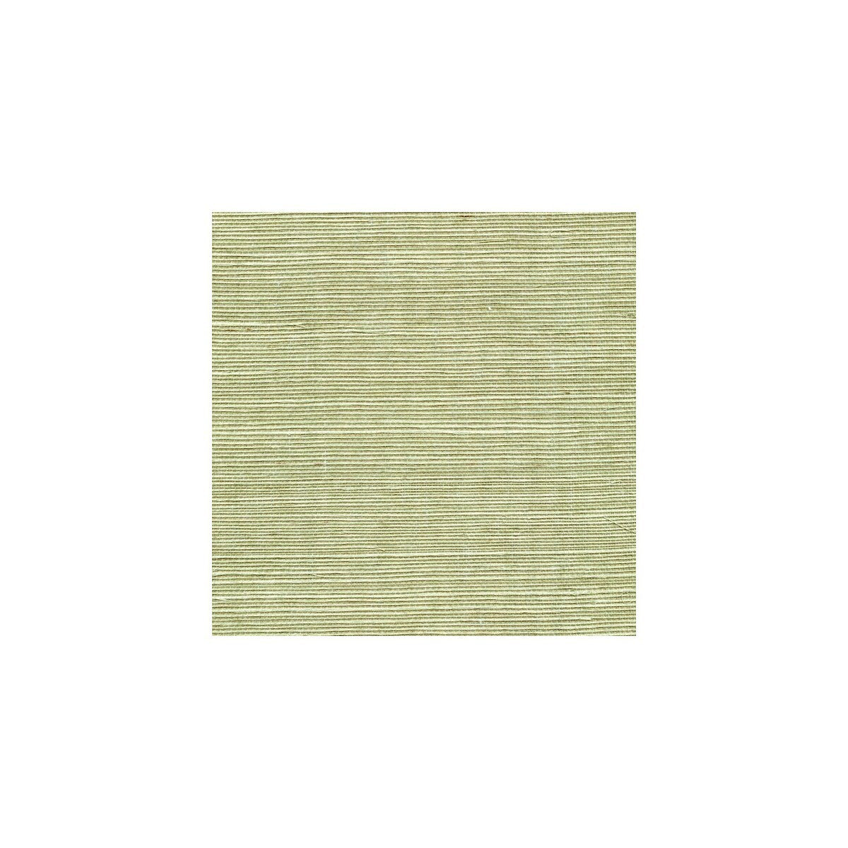 wss4531wt0-sisal-fern-winfield-thybony