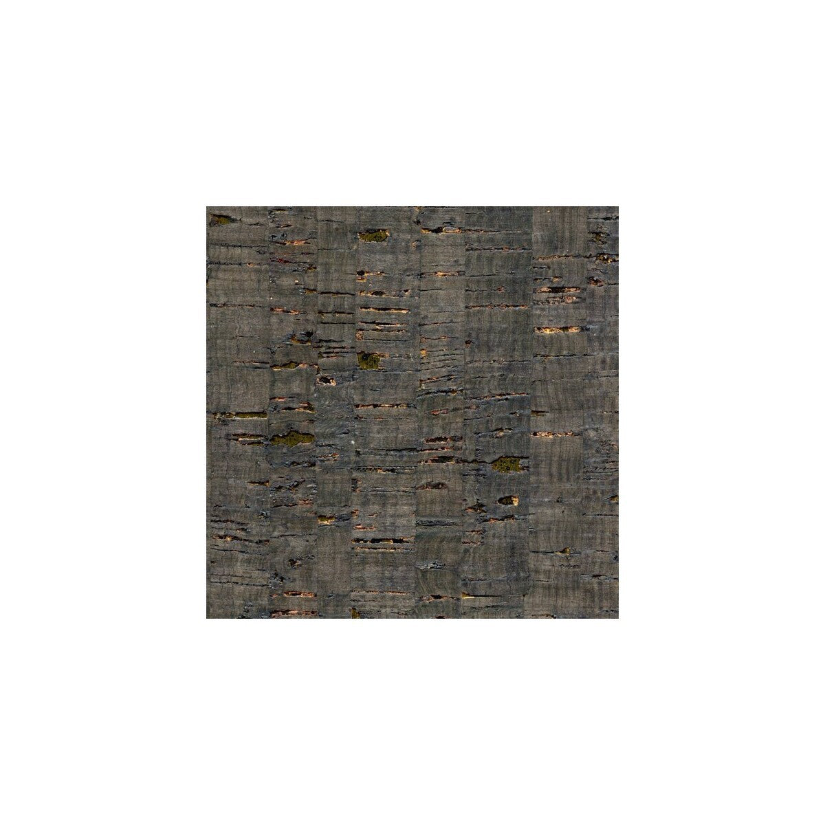 wnr1137wt0-valencia-winfield-thybony