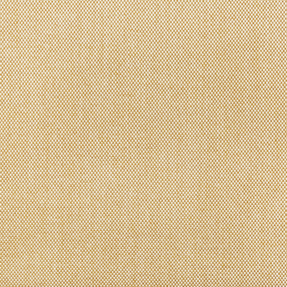 36829160-kravet-basics-36829-16