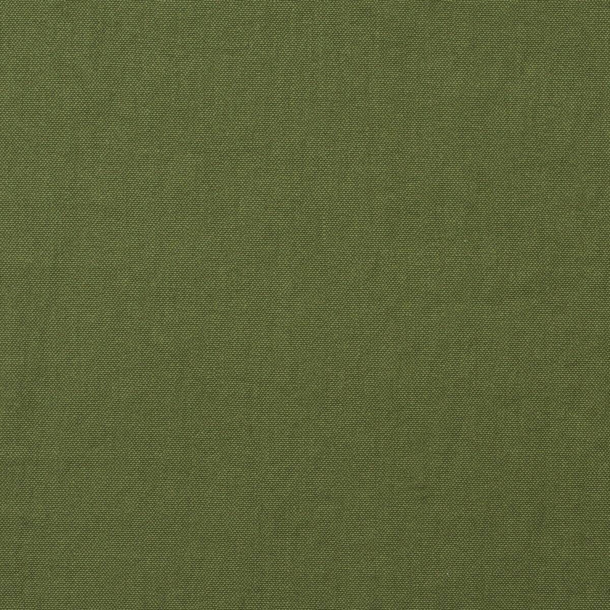 am10045230-rocco-leaf-kravet-couture