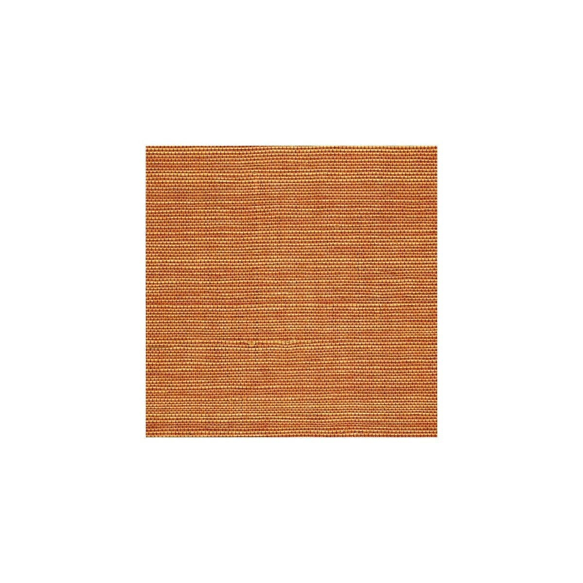 wss4543wt0-sisal-marigold-winfield-thybony