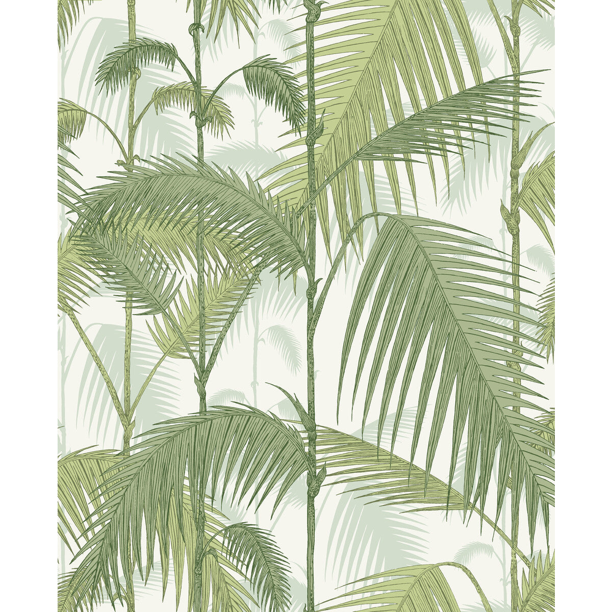 f1112007lcs0-palm-jungle-olv-grn-on-wht-cole-son