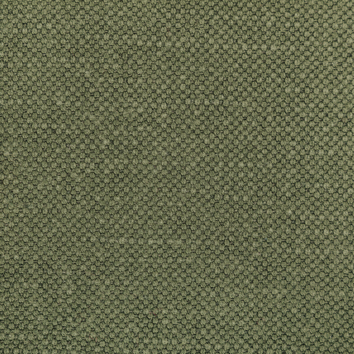 362823230-carson-pine-kravet-basics