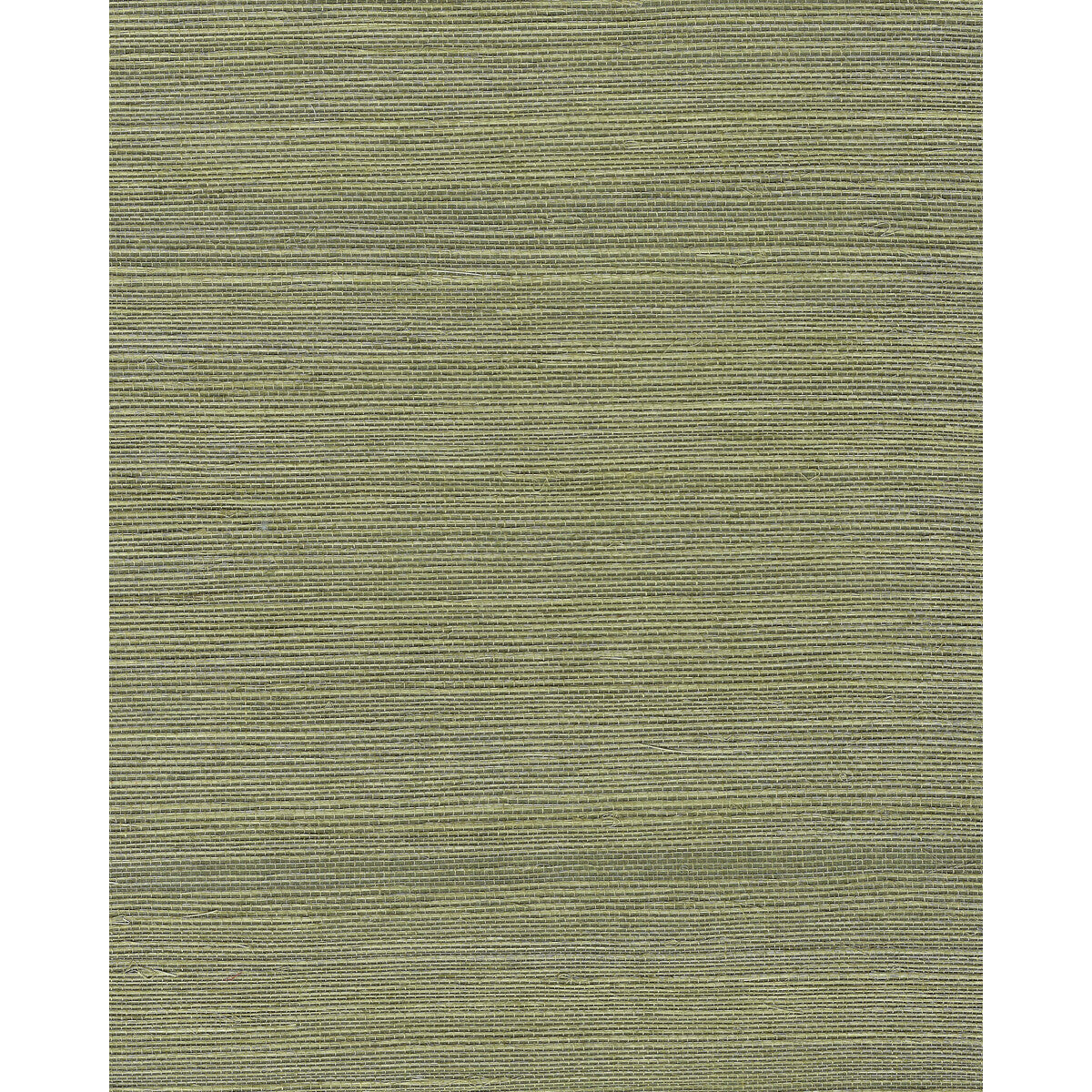 wnr2112wt0-chiyo-sisal-moss-winfield-thybony