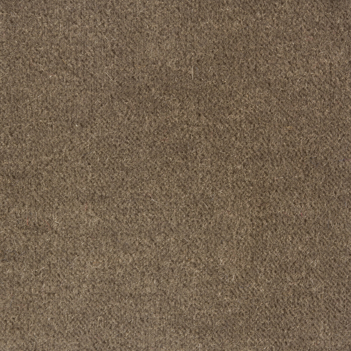 801410111110-bachelor-mohair-grey-brunschwig-fils