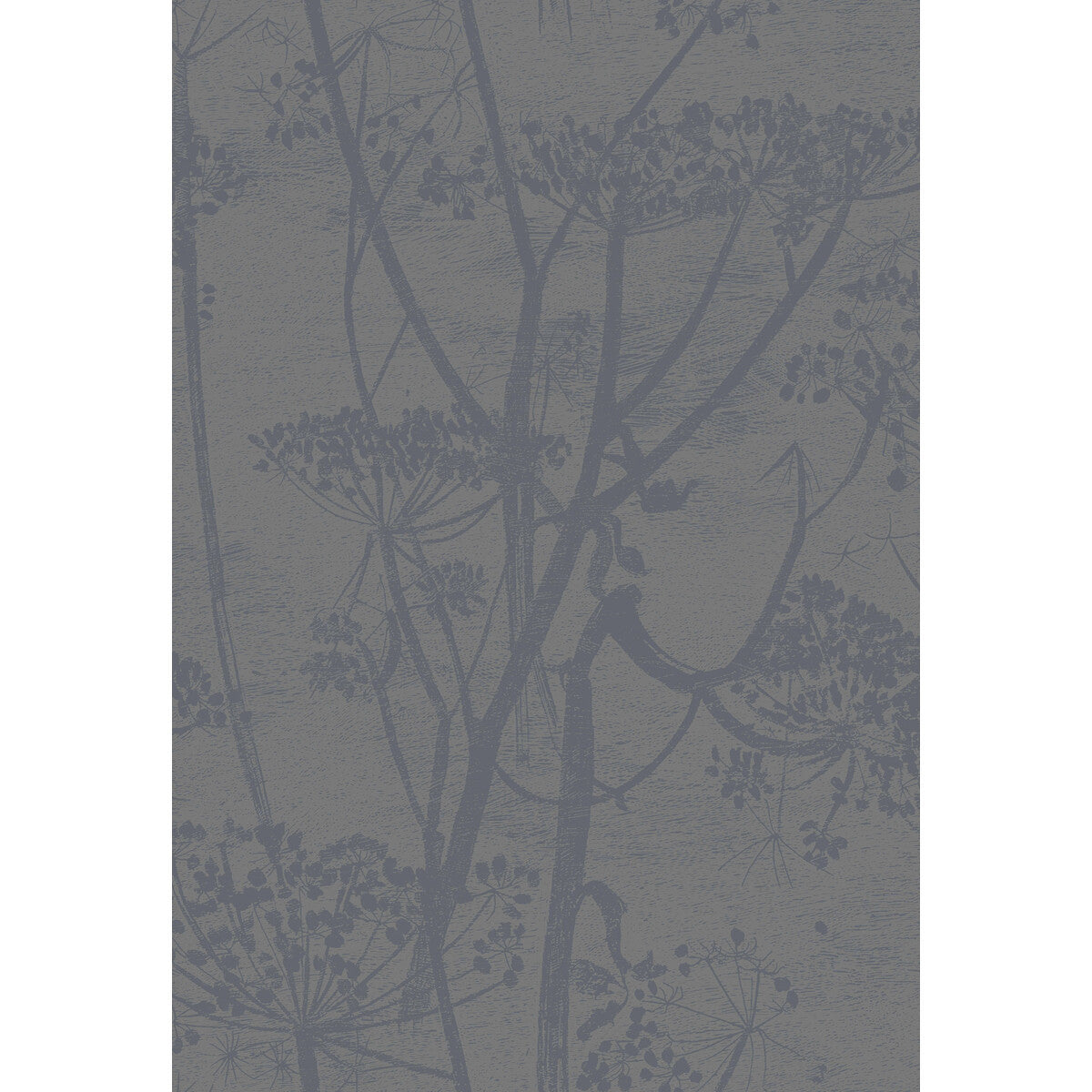 959050cs0-cow-parsley-gilverblack-cole-son